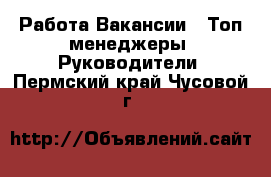 Работа Вакансии - Топ-менеджеры, Руководители. Пермский край,Чусовой г.
